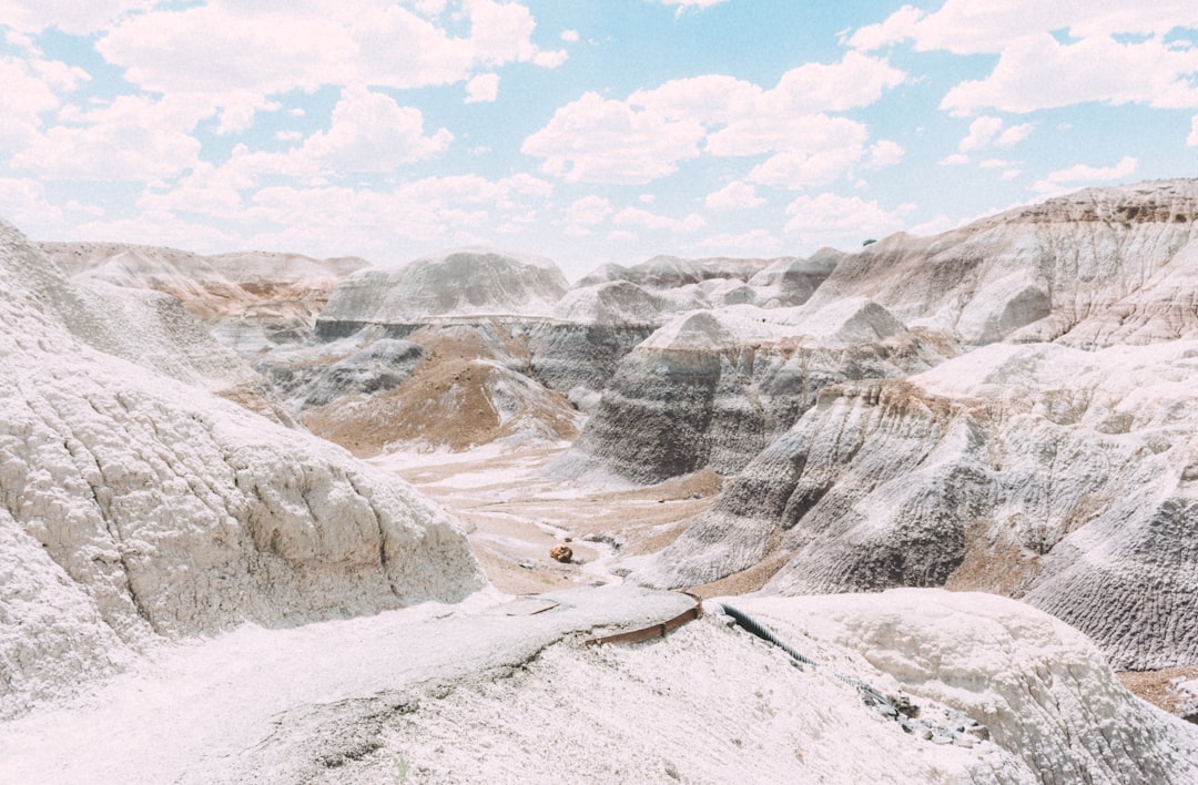 Scopri il Petrified Forest National Park in Arizona - Weinan | Secret World Trip Planner