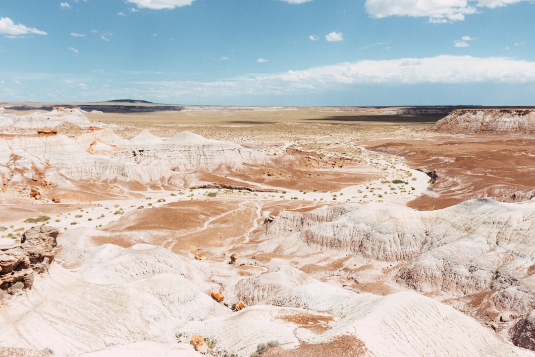 Descubre el Parque Nacional del Bosque Petrificado en Arizona - Weinan | Secret World Trip Planner