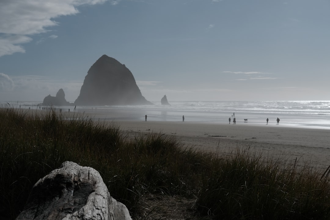 Cannon Beach : Un coin de paradis dans la nature de l'Oregon | Secret World Trip Planner