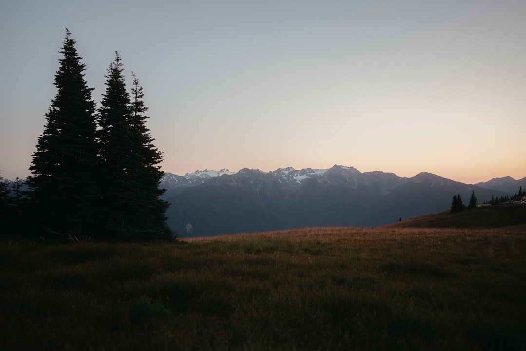 Scopri l'Olympic National Park: un paradiso naturale in Washington - Qiqihar | Secret World Trip Planner