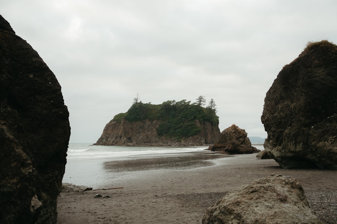 Entdecken Sie den Olympic National Park: Ein Naturparadies in Washington - Qiqihar | Secret World Trip Planner