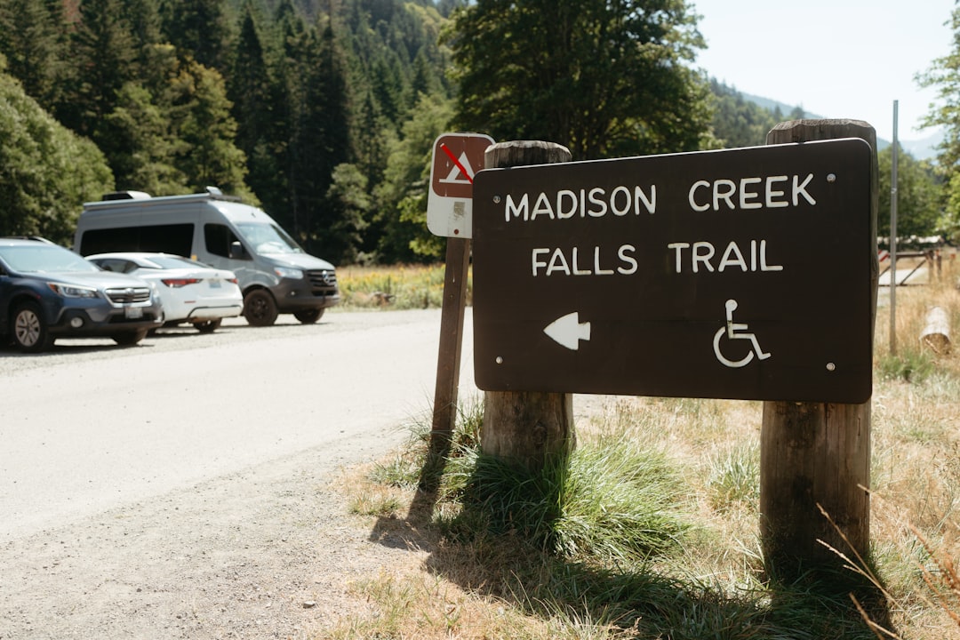 Descubre la Magia del Bosque Lluvioso de Hoh en Forks, Washington | Secret World Trip Planner