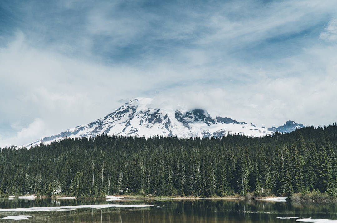 Découvrez la beauté à couper le souffle du parc national du Mont Rainier | Secret World Trip Planner