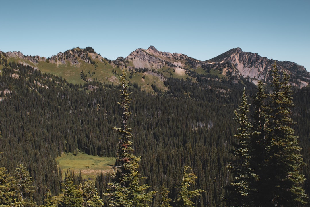 Découvrez la beauté à couper le souffle du parc national du Mont Rainier | Secret World Trip Planner