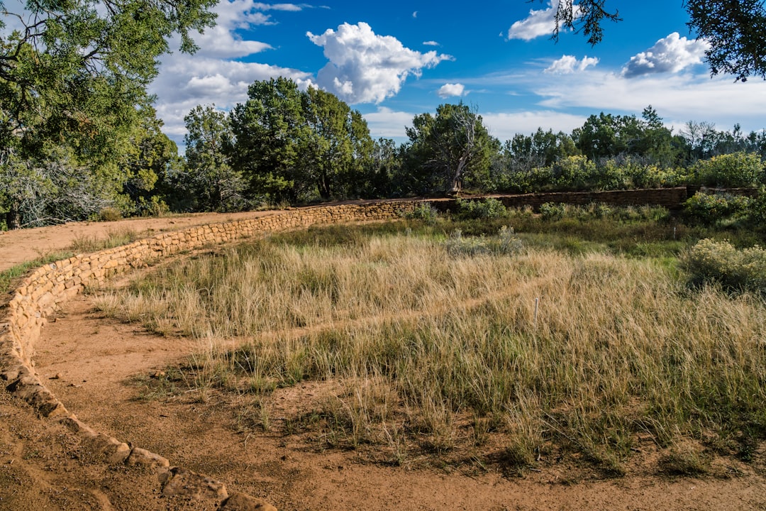 Explorer le parc national de Mesa Verde : un voyage dans l'histoire - Yulin | Secret World Trip Planner