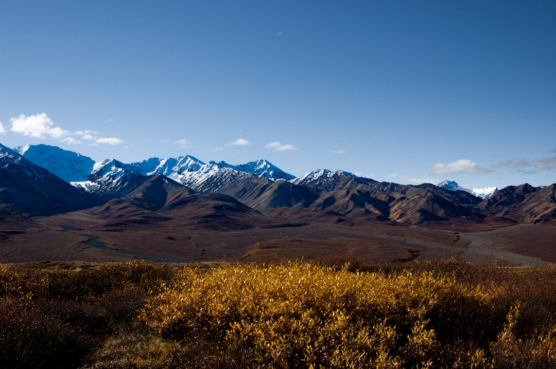 Explorez la beauté sauvage du parc national de Denali | Secret World Trip Planner