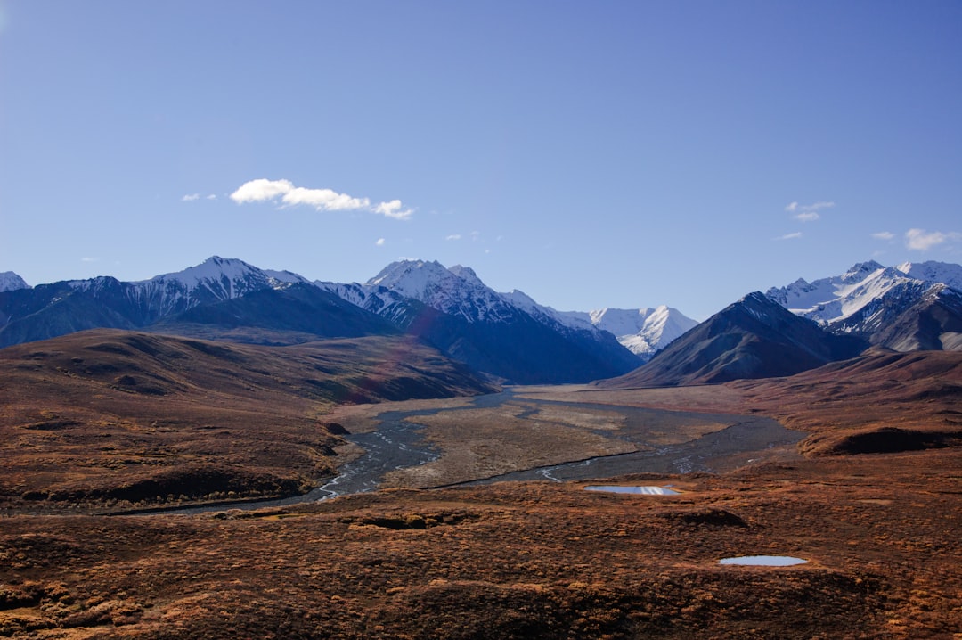Explora la belleza salvaje del Parque Nacional Denali | Secret World Trip Planner