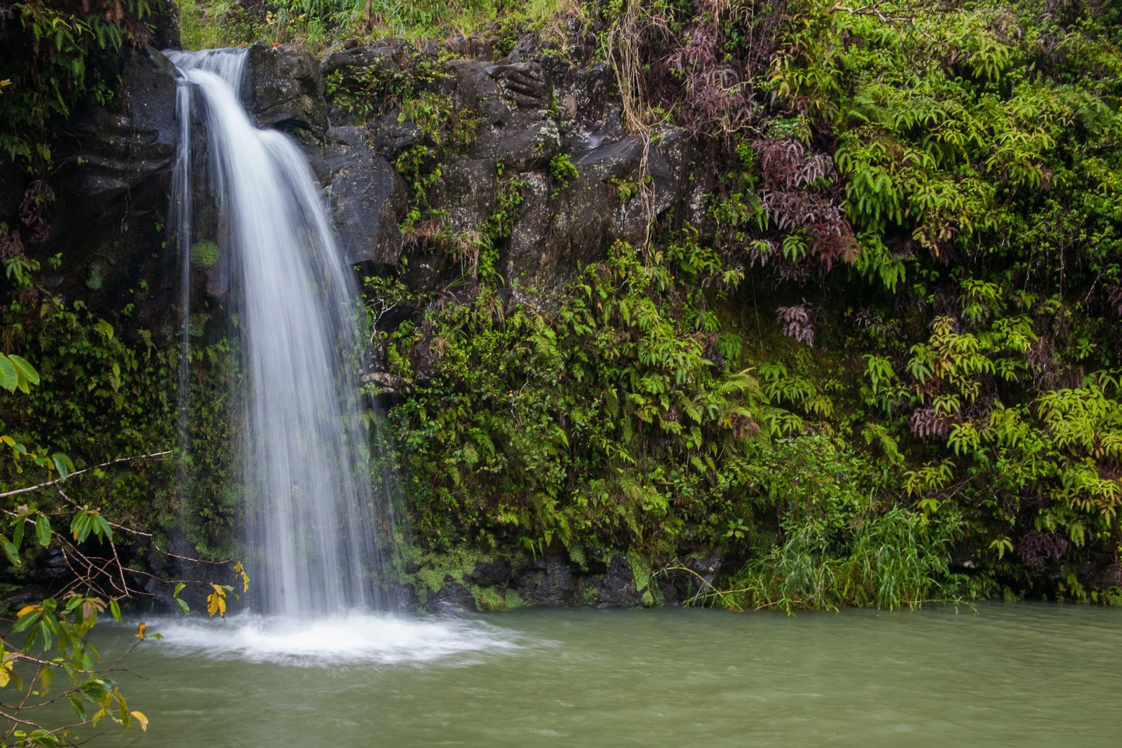 Descubre la Magia de la Road to Hana: Experiencia Inolvidable en Hawái | Secret World Trip Planner