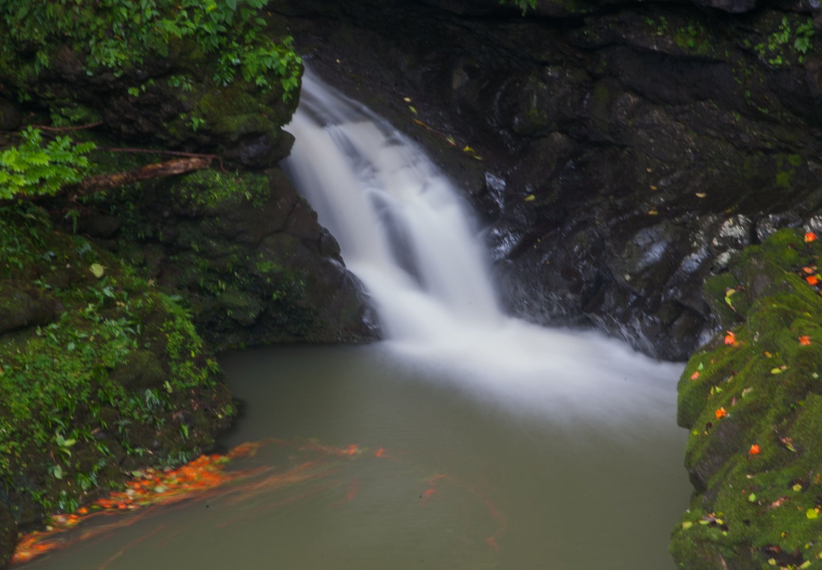 Descubre la Magia de la Road to Hana: Experiencia Inolvidable en Hawái | Secret World Trip Planner