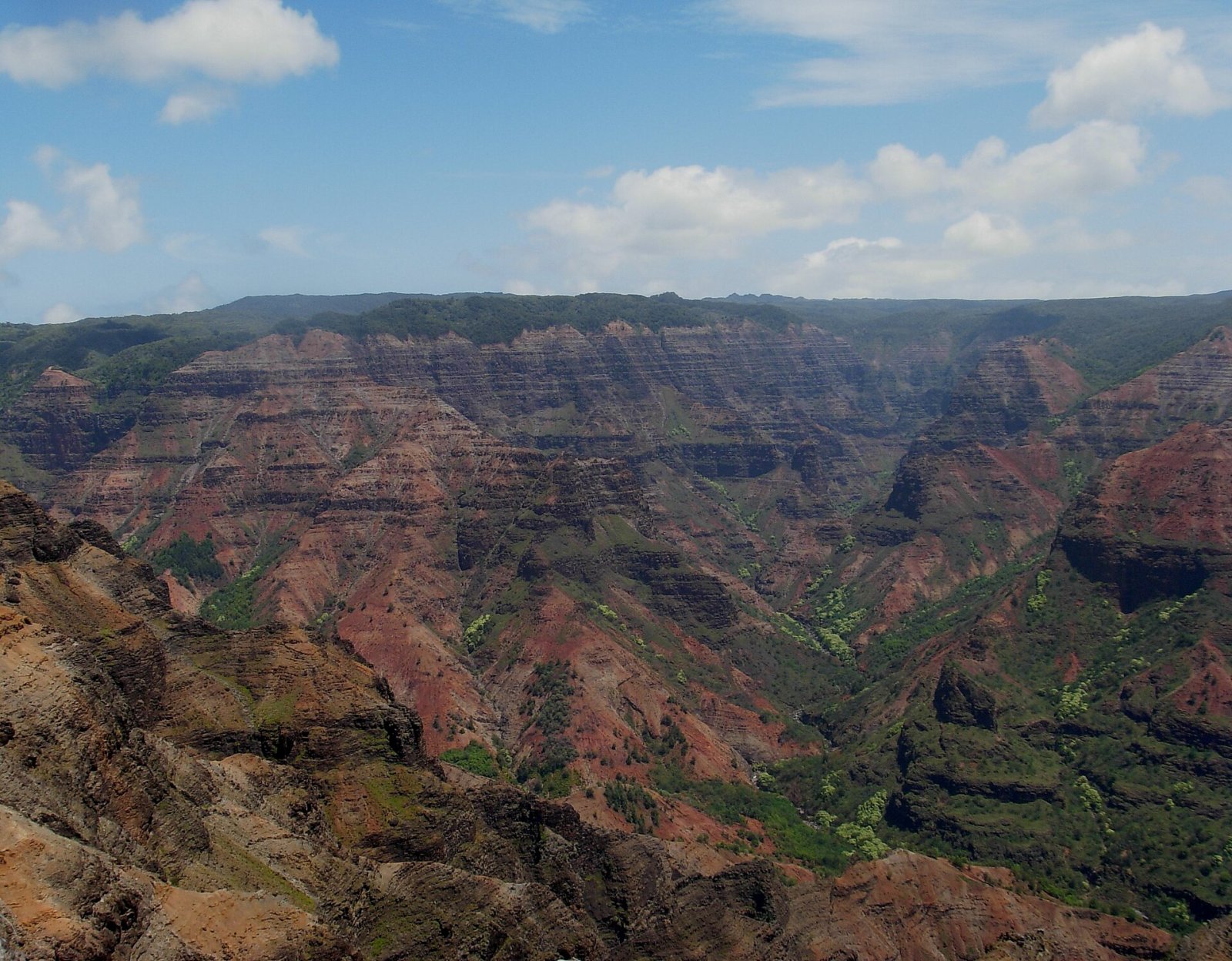 Découvrez la Merveille Naturelle du Waimea Canyon à Kauai | Secret World Trip Planner
