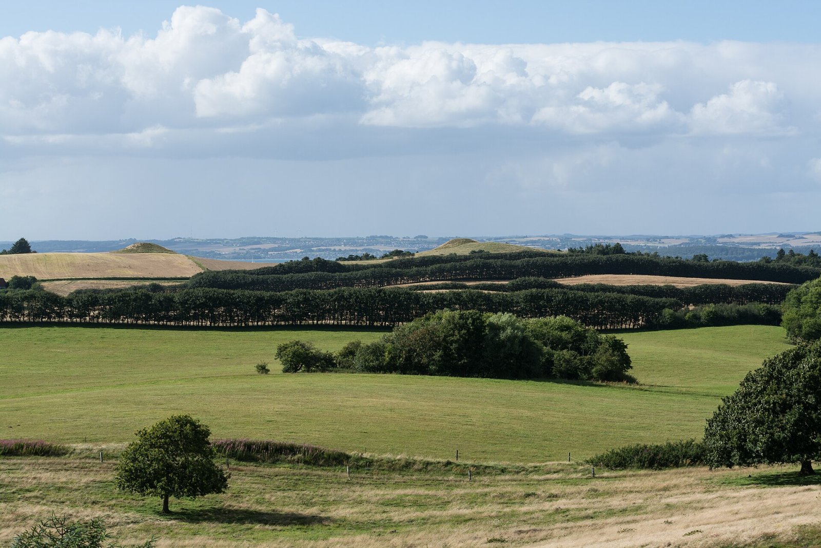 Découvrez Stabelhøje : Les Tumulus du Bronze en Danemark - Dybdalvej 9 | Secret World Trip Planner