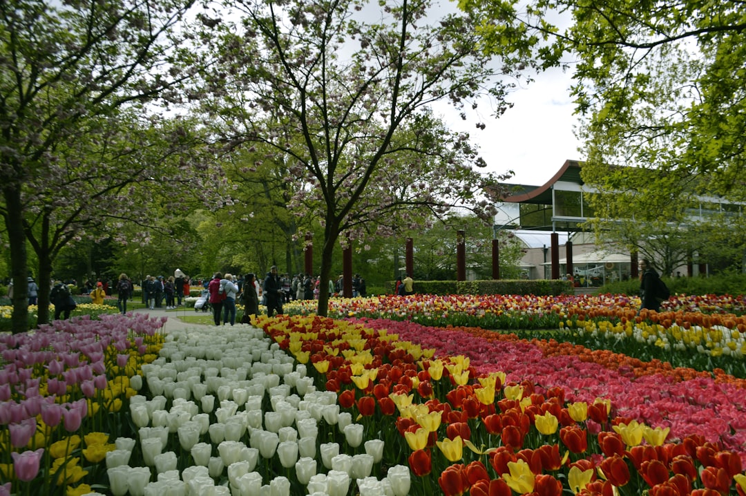 Keukenhof: Il Giardino dei Fiori più Grande del Mondo - Stationsweg 166A | Secret World Trip Planner