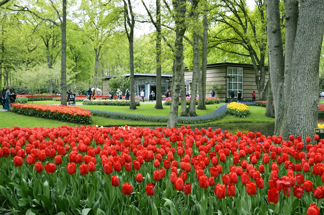 Keukenhof : Le Plus Grand Jardin de Fleurs au Monde - Stationsweg 166A | Secret World Trip Planner