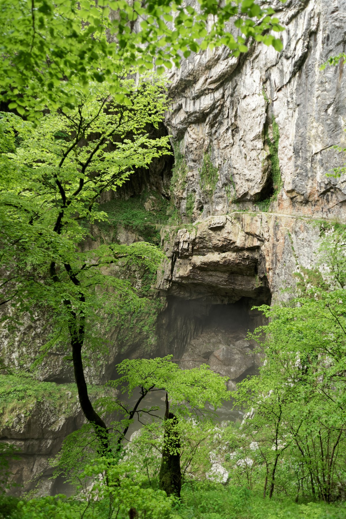 Grotte de San Canziano : voyage au cœur des souterrains - Matavun 12 | Secret World Trip Planner