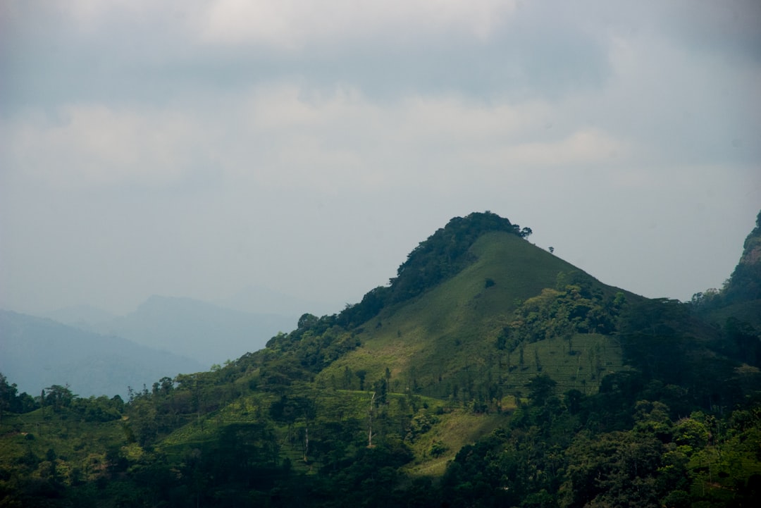Single Tree Hill: una joya natural en Sri Lanka - Nuwara Eliya | Secret World Trip Planner