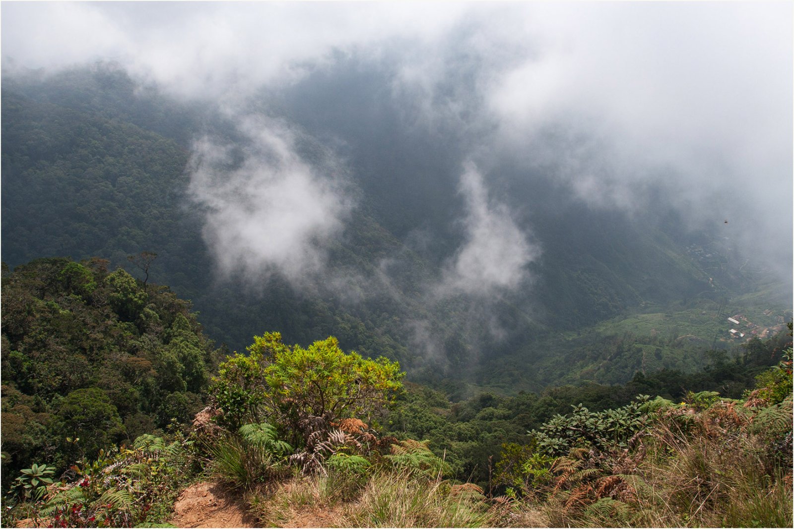 Mini World's End: un rincón de paraíso en Sri Lanka - Metigahatenna | Secret World Trip Planner