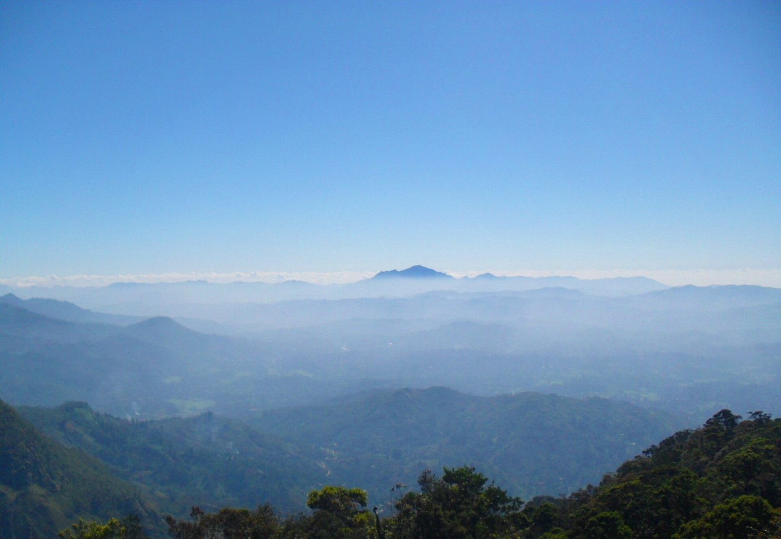 Moon Plains : Un Paradis Vert à Nuwara Eliya — Nuwara Eliya