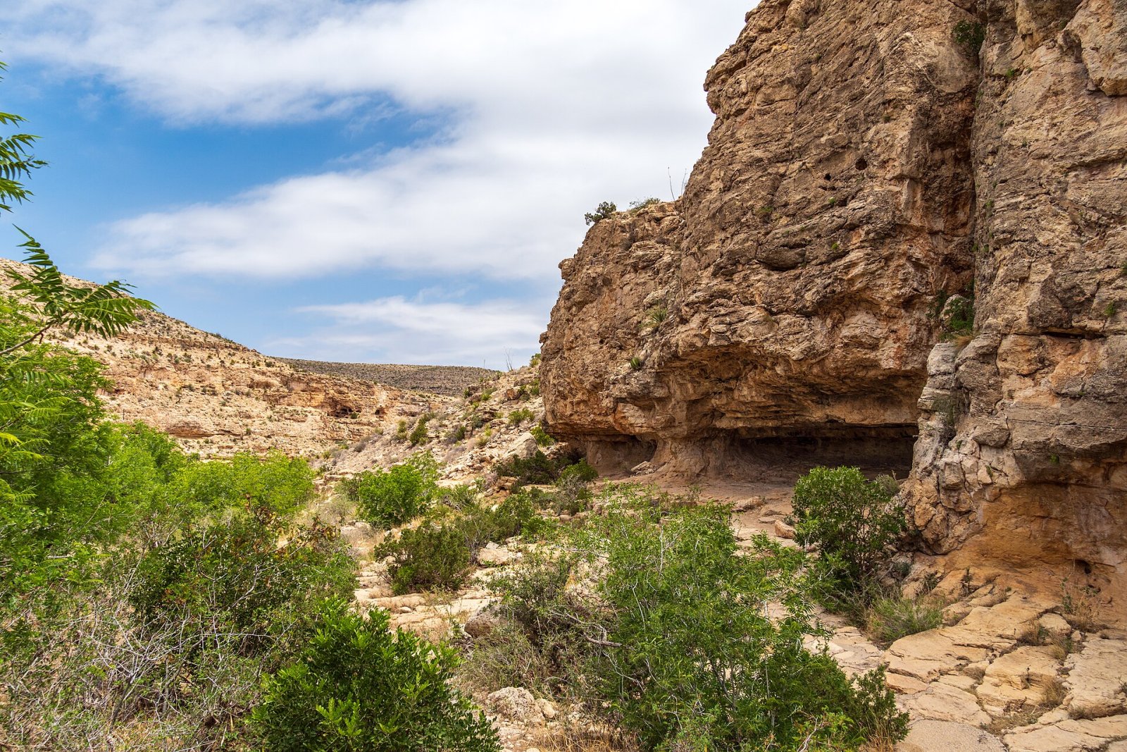 Découvrez les merveilles des Carlsbad Caverns au Nouveau-Mexique — Mianyang