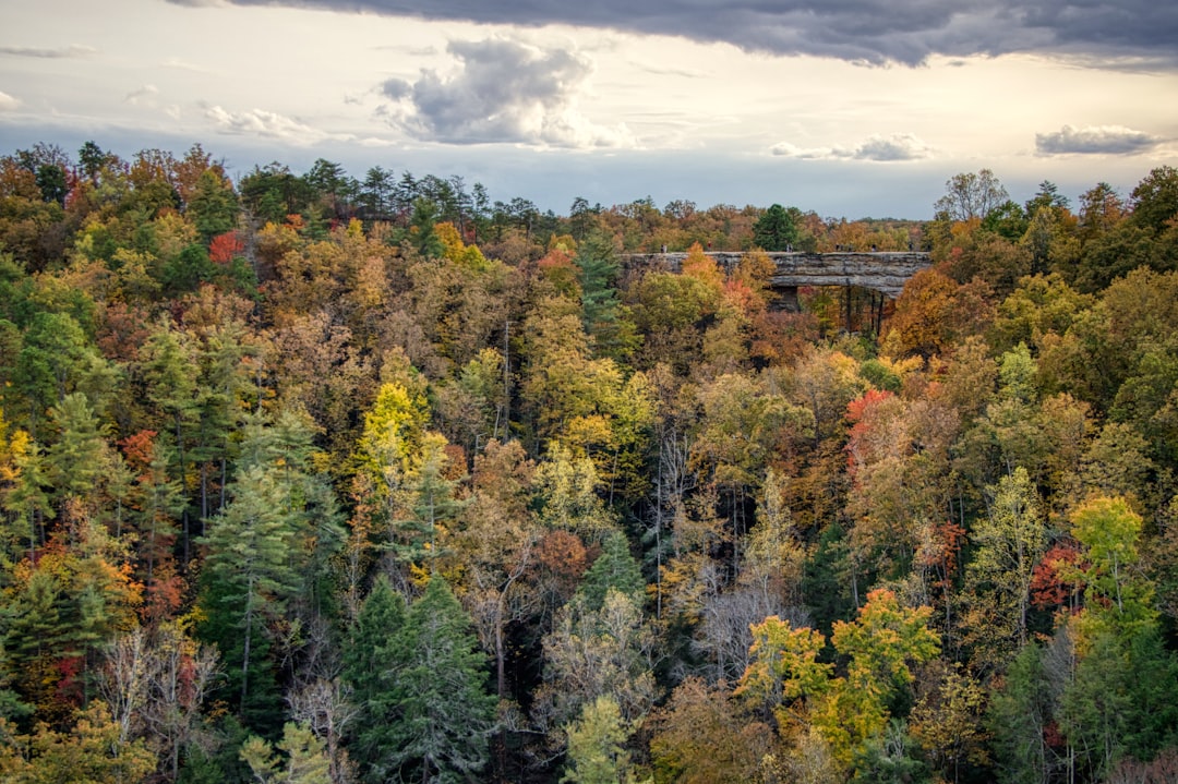 Scopri il Red River Gorge: un angolo di natura nel Kentucky | Secret World Trip Planner