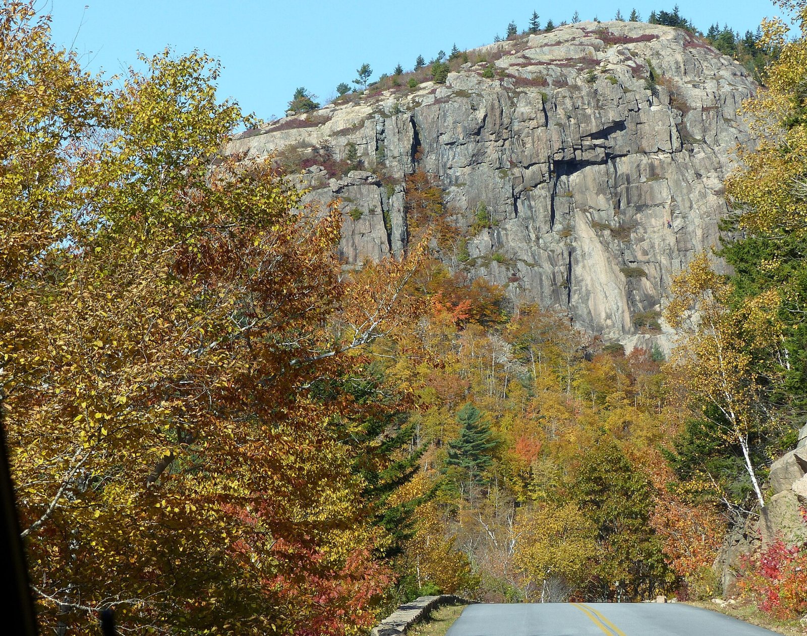 Scopri la bellezza naturale del Parco Nazionale di Acadia | Secret World Trip Planner