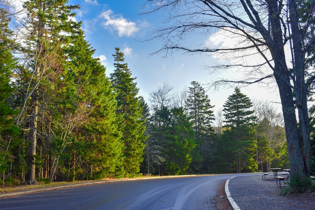 Scopri la bellezza naturale del Parco Nazionale di Acadia | Secret World Trip Planner