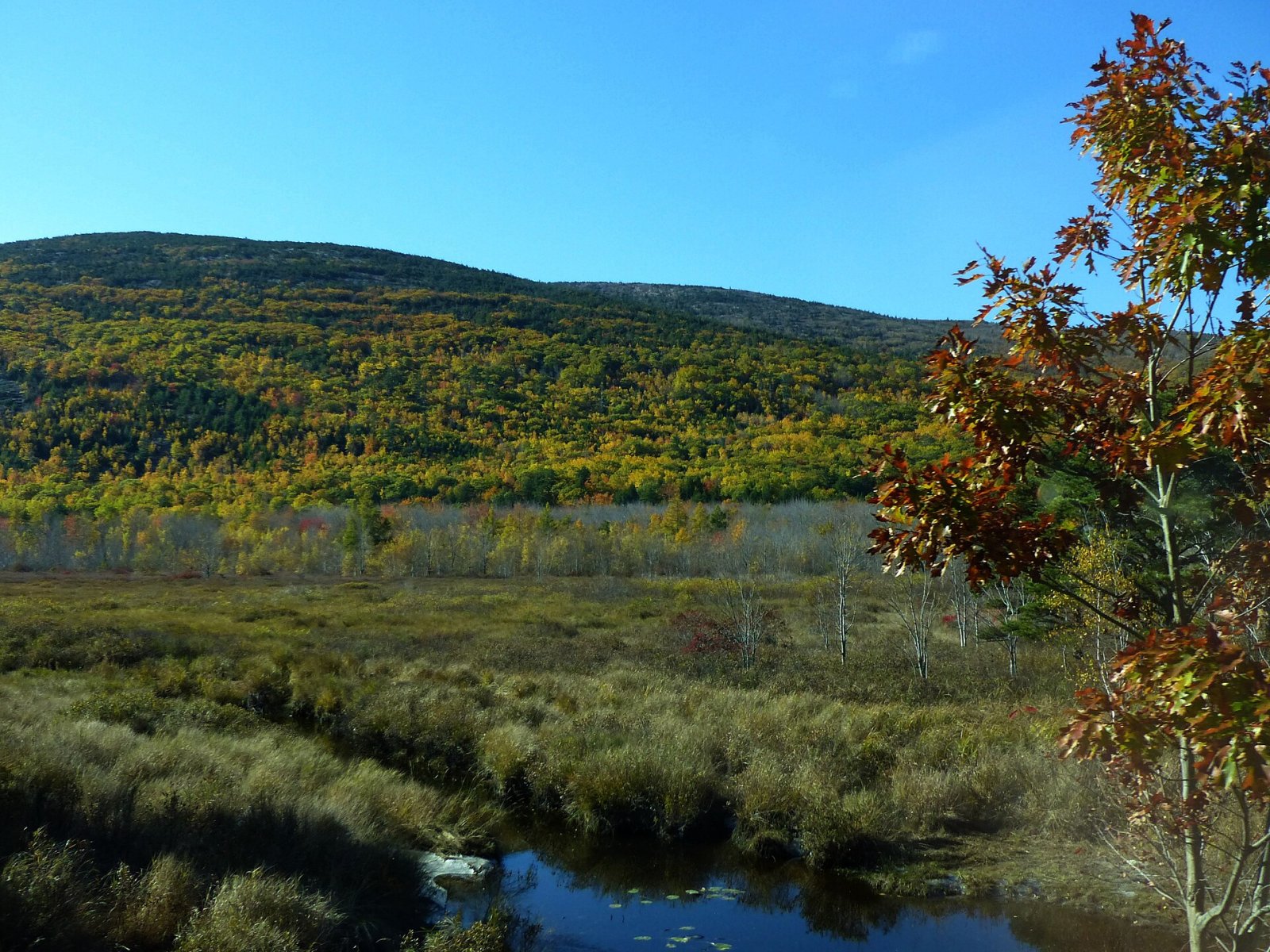 Descubre la belleza natural del Parque Nacional de Acadia | Secret World Trip Planner