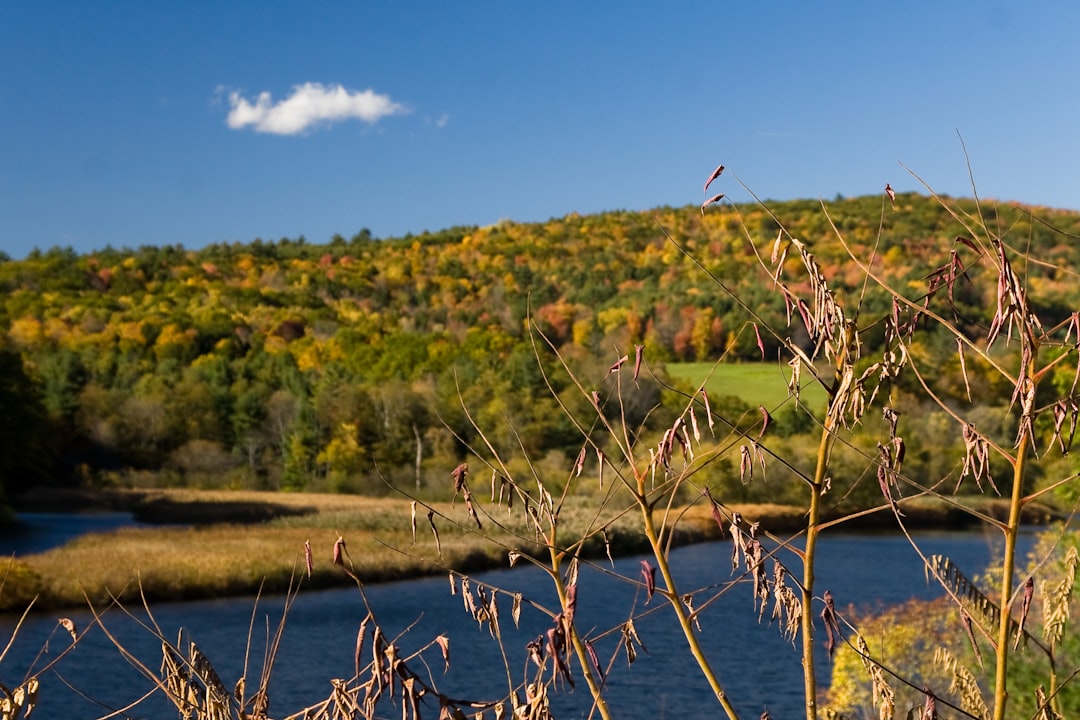 Vermont Herbstlaub: Die Magie des Herbstes in Stowe — FM8Q+44 Aral