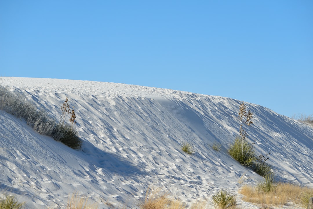 Explore the Natural Wonders of Sleeping Bear Dunes