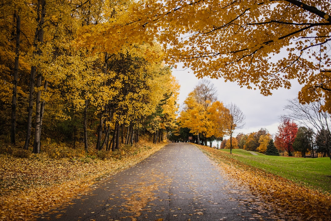 Scopri Door County: Un Angolo Incantato del Wisconsin | Secret World Trip Planner
