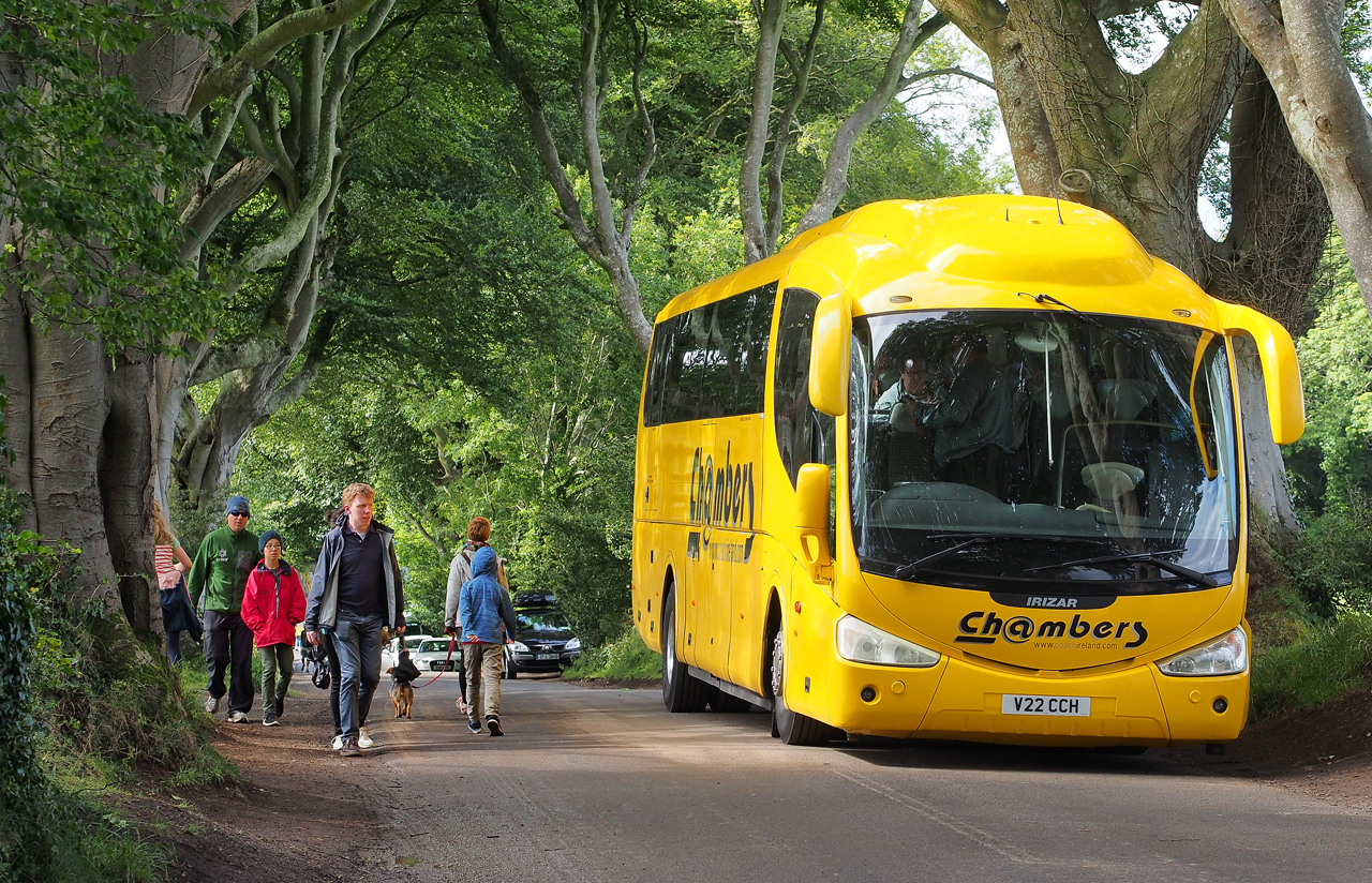 Scopri Dark Hedges: la strada incantata dell'Irlanda del Nord | Secret World Trip Planner