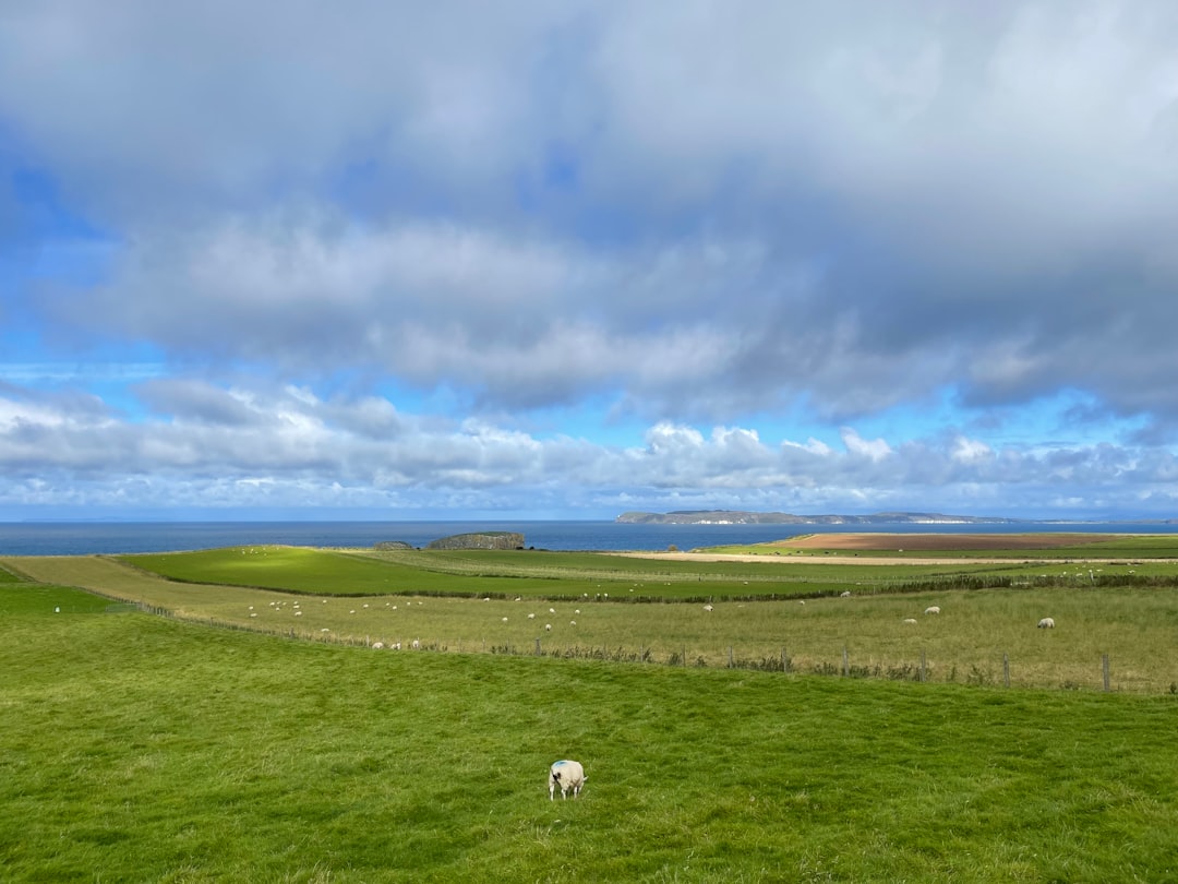 Discover the Causeway Coast: a Natural Gem in Northern Ireland | Secret World Trip Planner