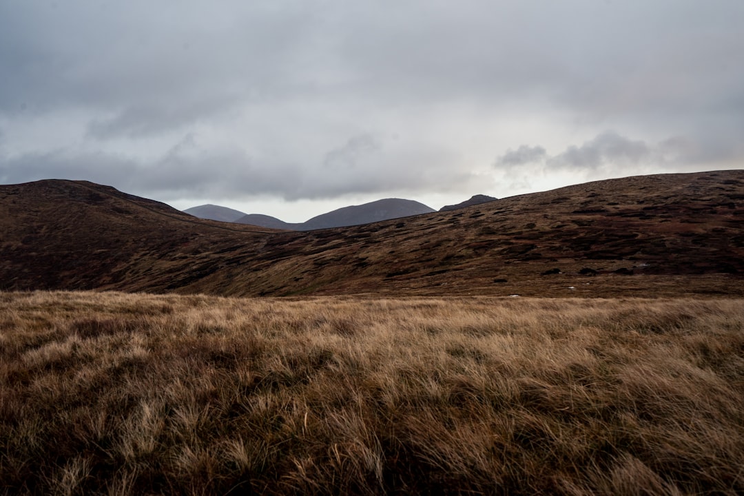 Entdecken Sie die majestätischen Mourne Mountains: Natur und Abenteuer in Nordirland