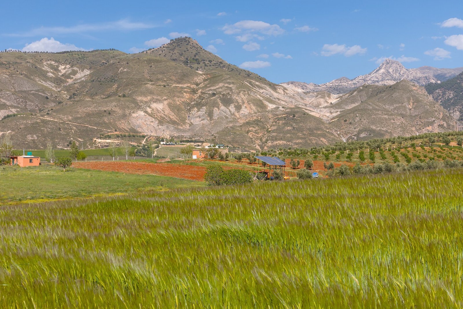 Sierra Nevada Granada: Natur und Kultur in Andalusien | Secret World Trip Planner