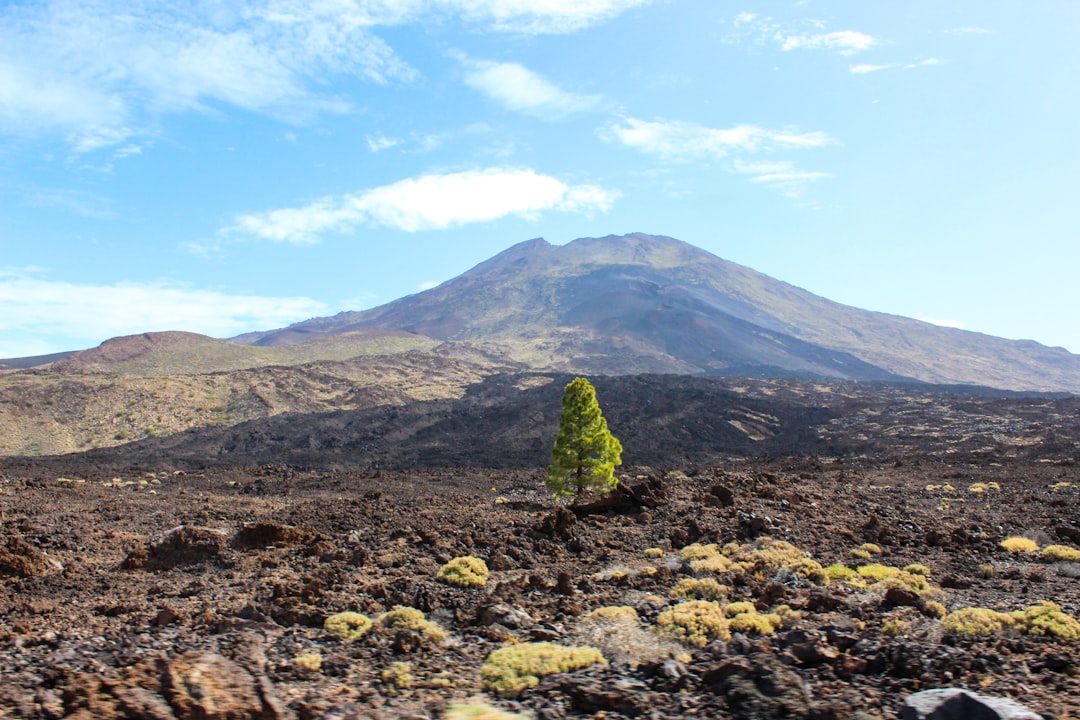 Descubre el Parque Nacional del Teide: una joya natural de Canarias