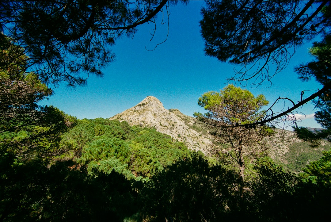 Scopri il Parco Nazionale di Garajonay a La Gomera | Secret World Trip Planner
