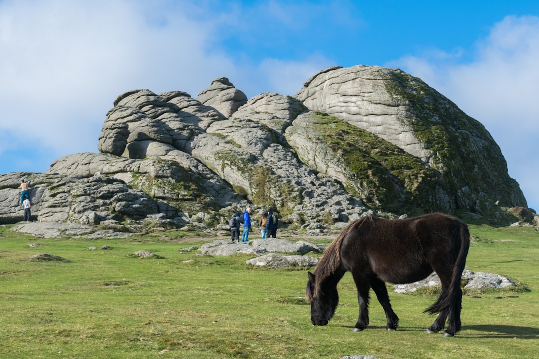 Descubre el encanto del Parque Nacional de Dartmoor en Inglaterra - HX28+2M Lens | Secret World Trip Planner