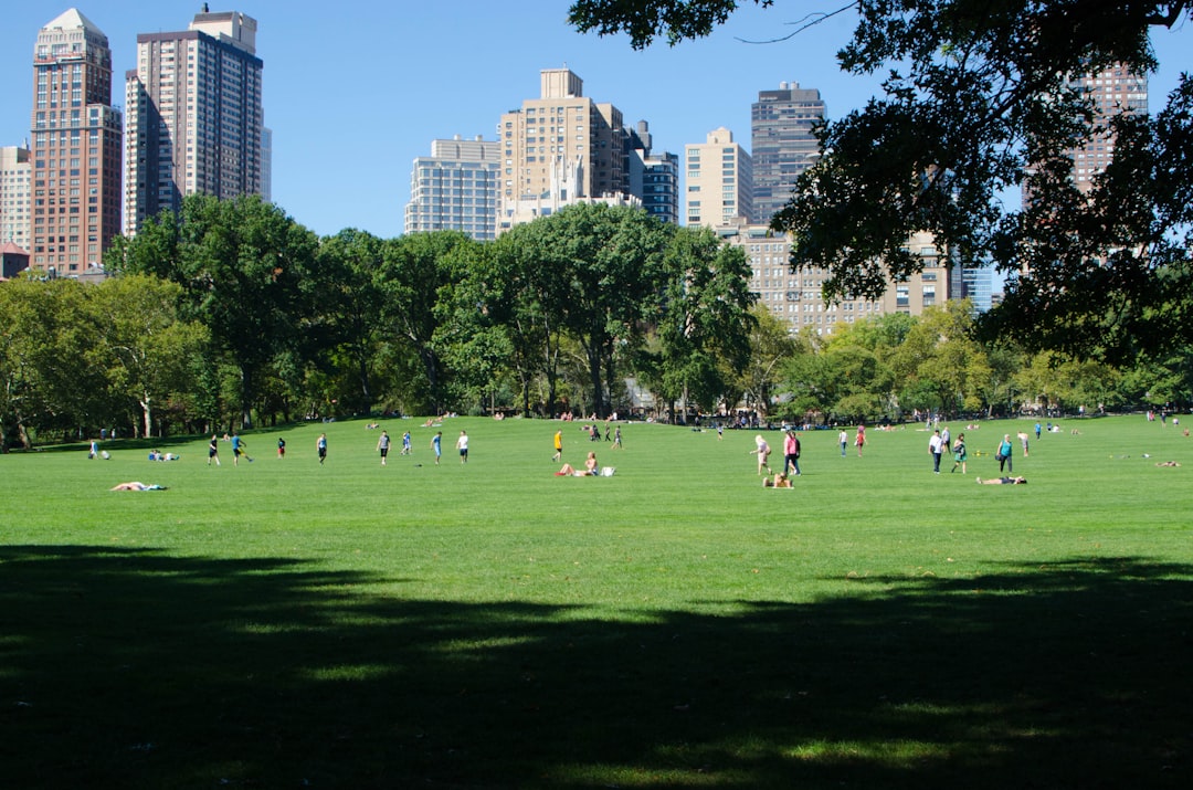 Les Portes de Christo et Jeanne-Claude à Central Park - New York | Secret World Trip Planner