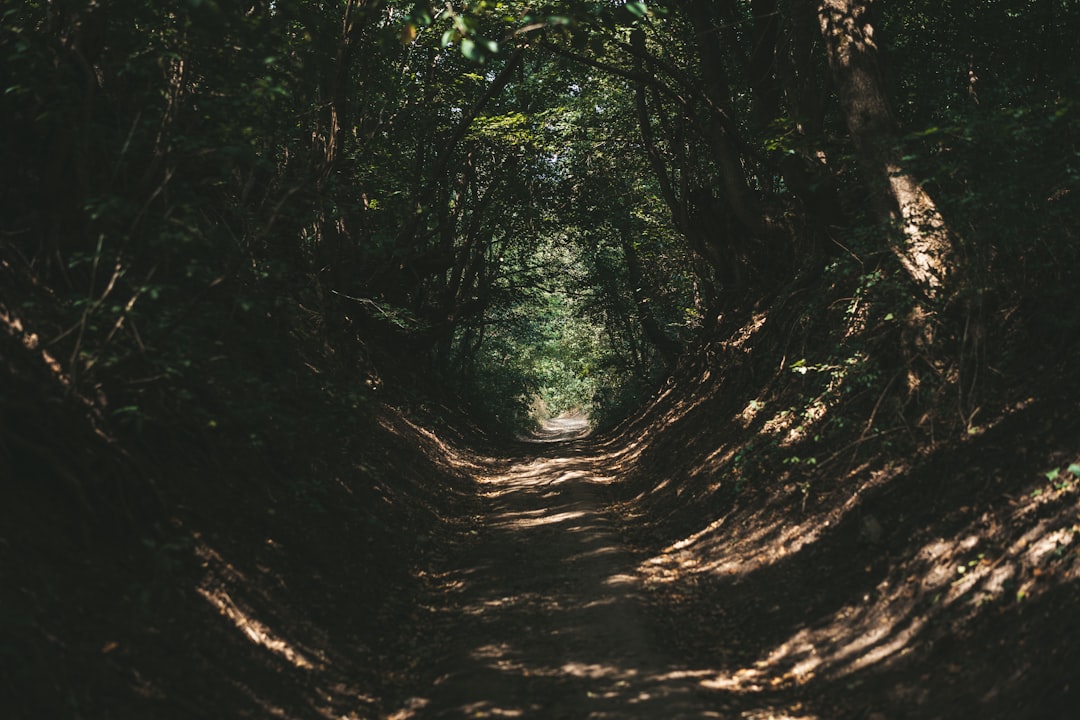 The Giant's Path: Art and Nature in Harmony — 44 Causeway Rd