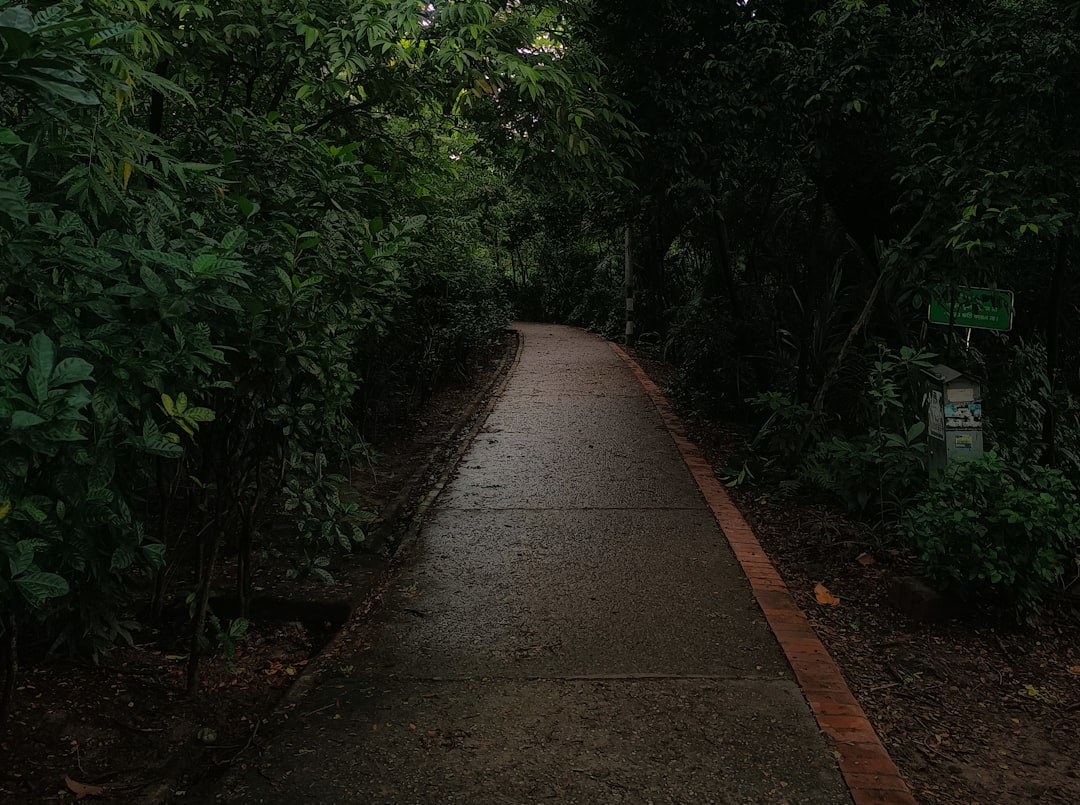 The Giant's Path: Art and Nature in Harmony - 44 Causeway Rd | Secret World Trip Planner