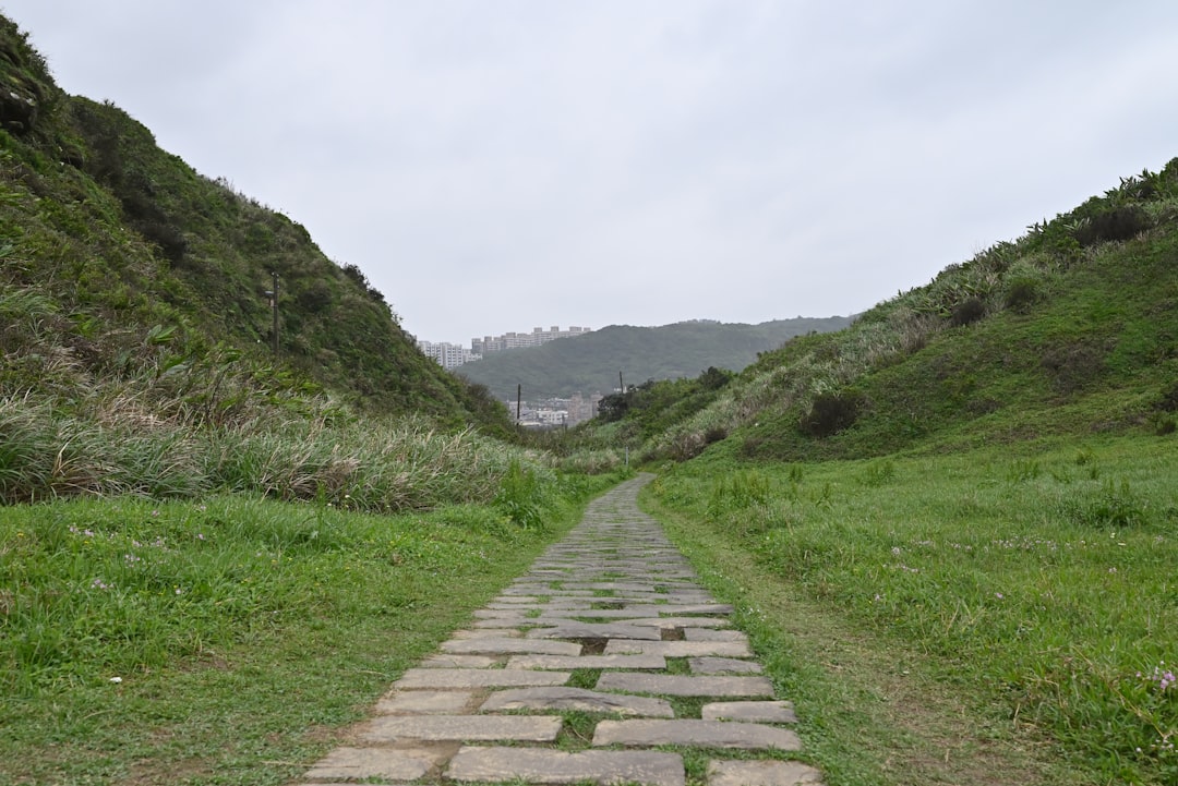 Le Sentier des Géants : Art et Nature en Harmonie - 44 Causeway Rd | Secret World Trip Planner
