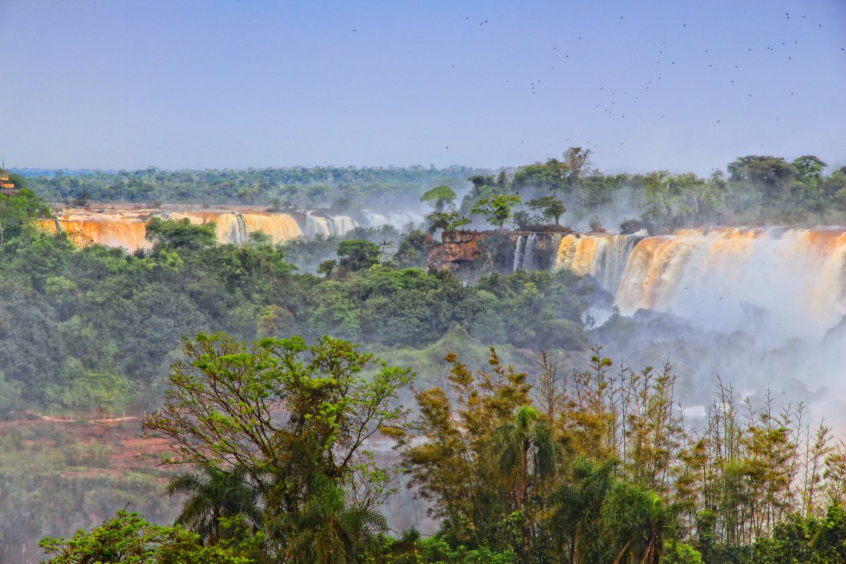 I laghi del Parco Nazionale dell'Iguazú: un Paradiso Naturale — N3370 Puerto Iguazú