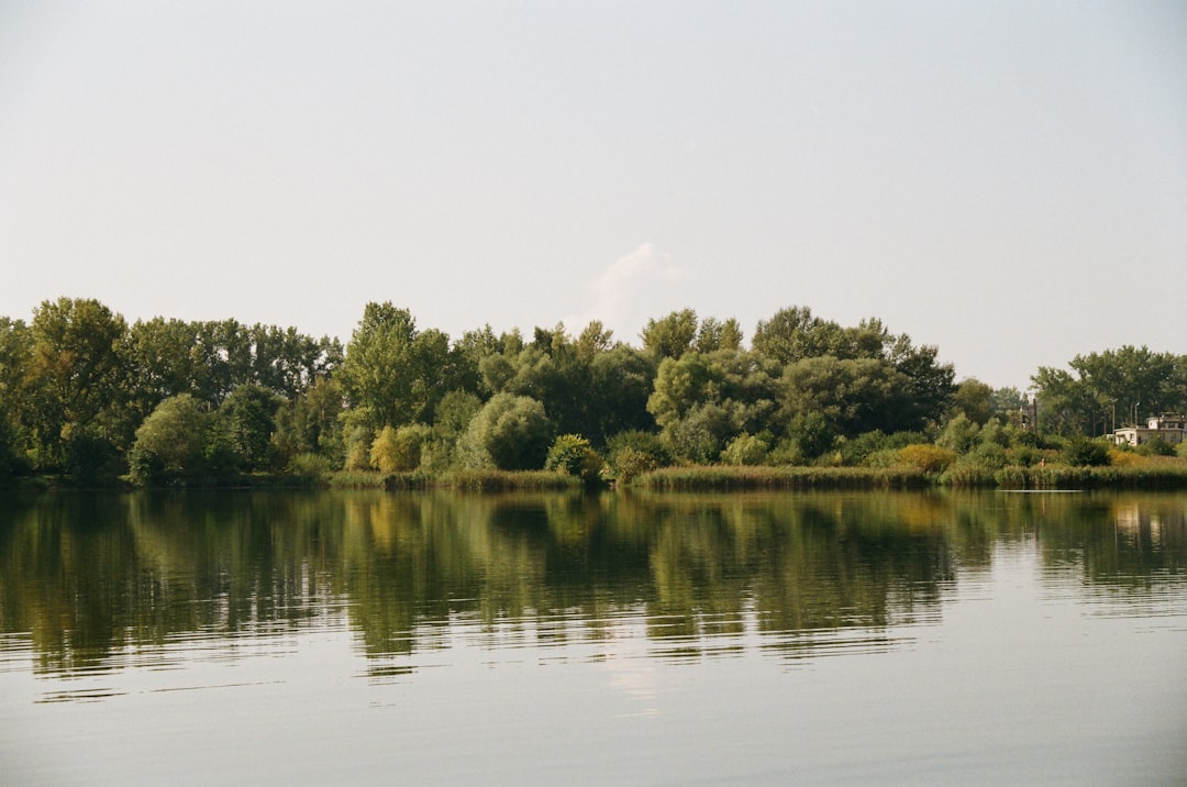 Strzelecki Park: Arte Contemporanea nel Verde di Kraków - Zygmunta Augusta 7 | Secret World Trip Planner