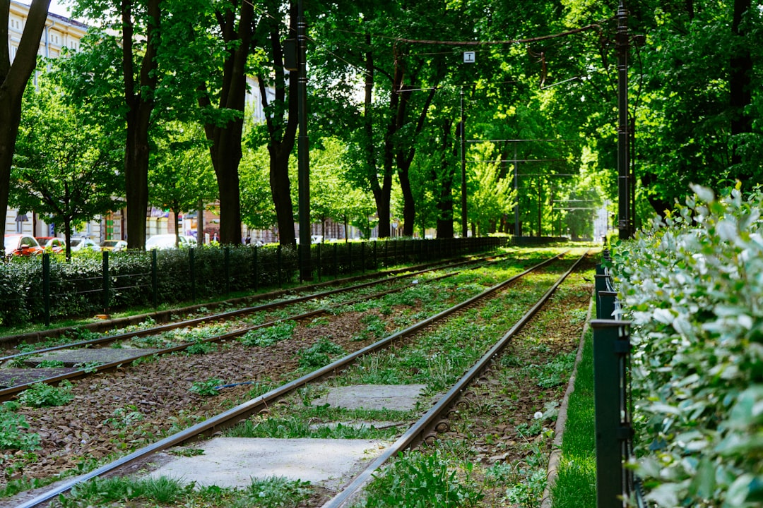 Strzelecki Park: Contemporary Art in Kraków's Greenery — Zygmunta Augusta 7
