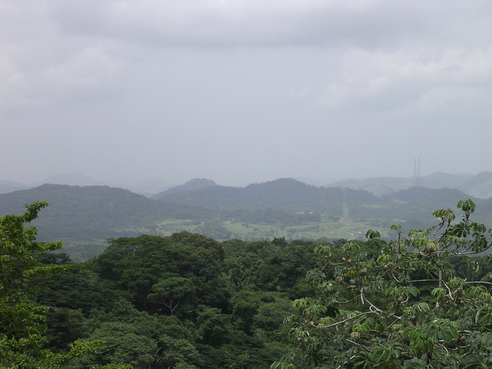 Découvrez la Canopy Tower : une expérience unique au Panama - Panama City | Secret World Trip Planner