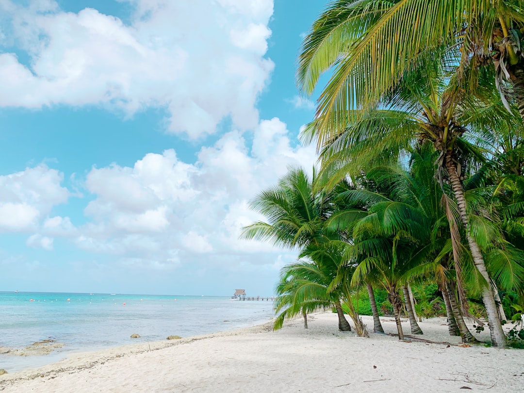 コスメル：カリブ海の心にある孤島の楽園 - Cozumel | Secret World Trip Planner