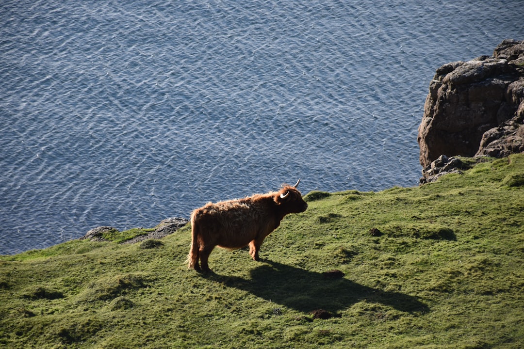 Mull: L'isola selvaggia della Scozia - Mull | Secret World Trip Planner