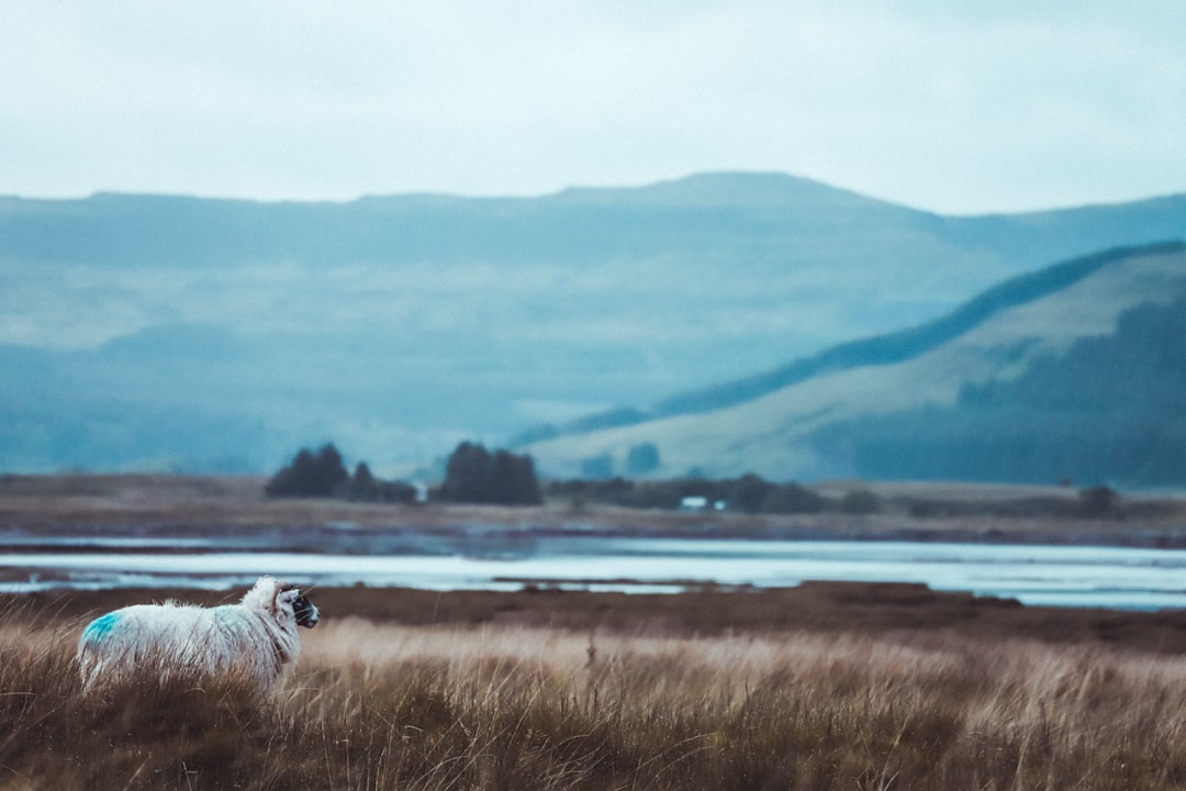Mull: La isla salvaje de Escocia — Mull