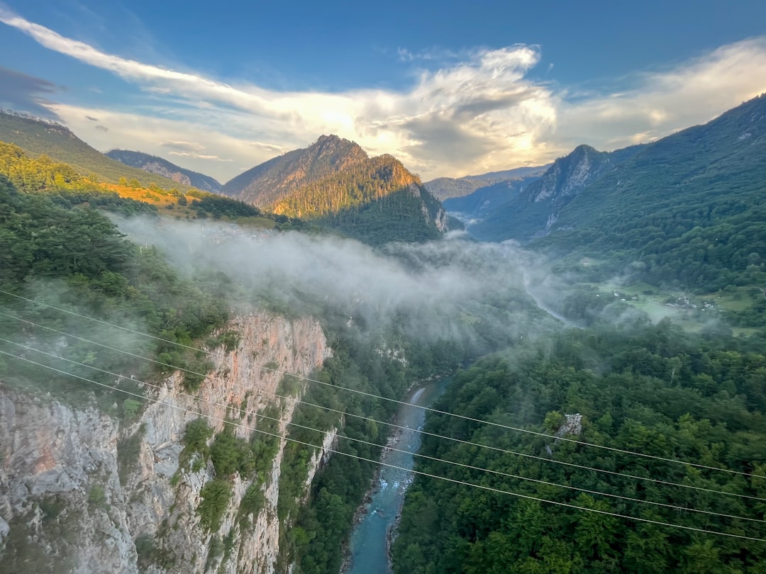 Descubre el Encanto del Cañón de Tara en Montenegro — Tepca