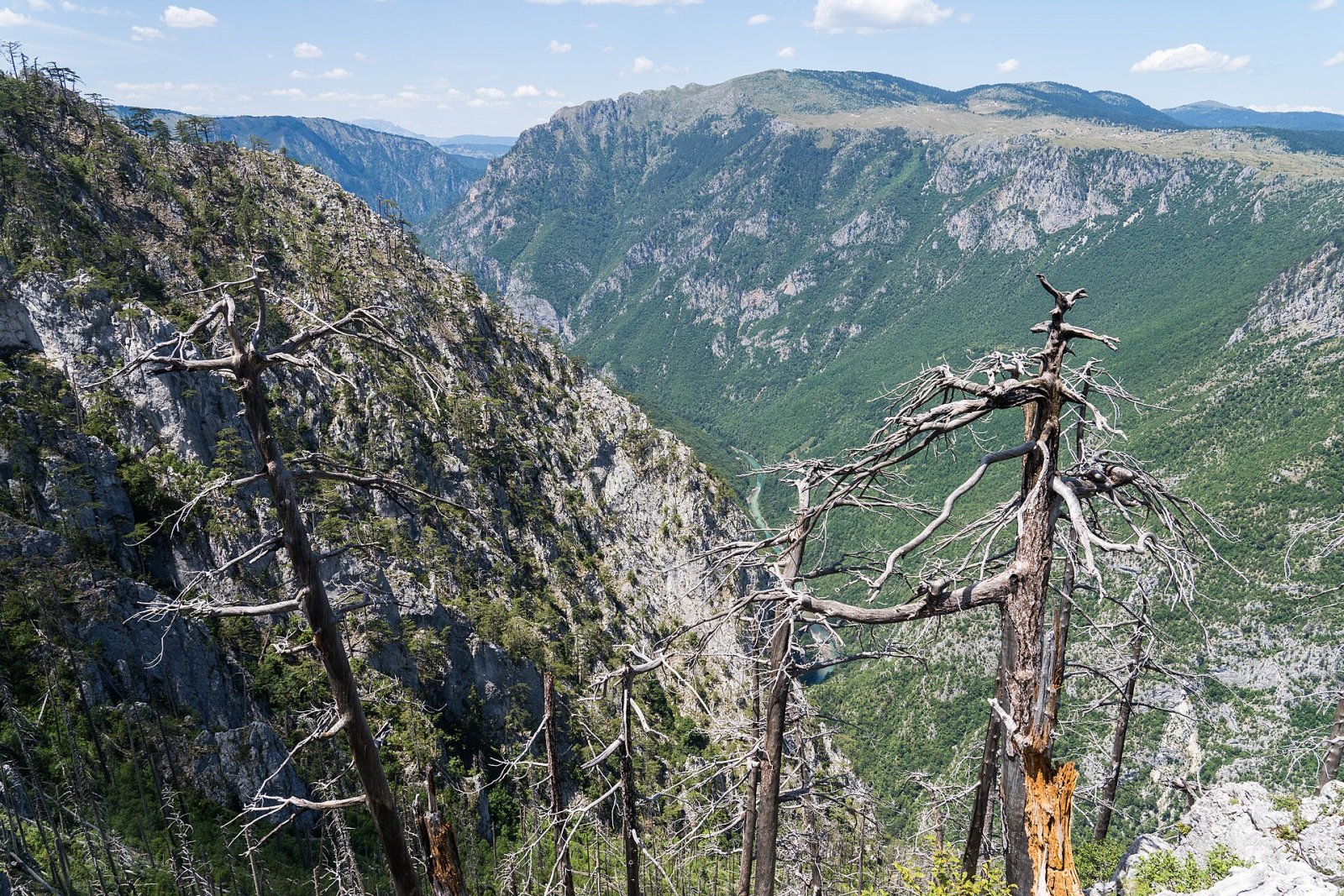 Descubre el Encanto del Cañón de Tara en Montenegro - Tepca | Secret World Trip Planner
