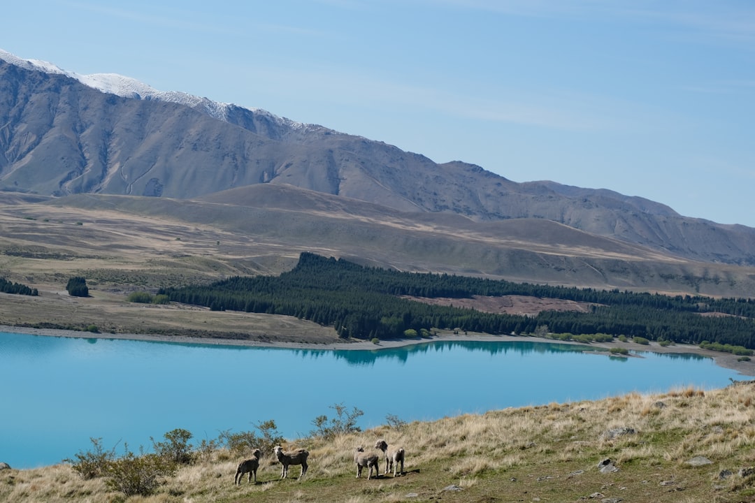 Sterne beobachten im Mt John Observatorium - Tekapo 7999 | Secret World Trip Planner